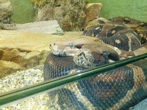 10425001_10152564447828750_4220341532341108896_n