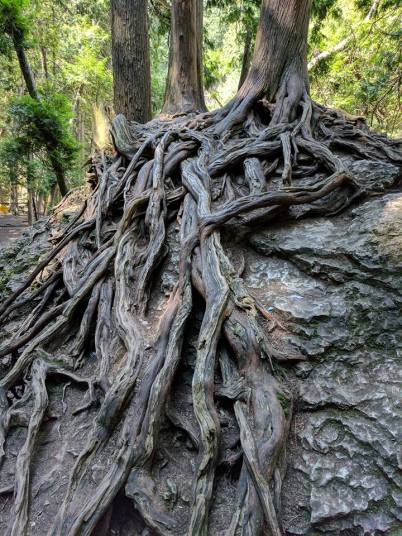 21272386_10155743579513750_3802669556480436794_n