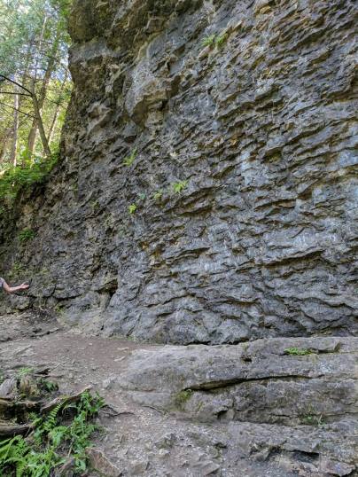 21314646_10155743579433750_886717019092050517_n