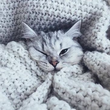 1a3cd82450e3cb66d6c193a4190f453f