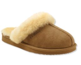 293107_116_41-e1479407372342