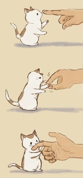 2666986cfc1939c8a5e2ab84566dc743