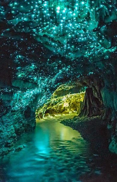 ef121ded79ecfd78a9993396fb53facd