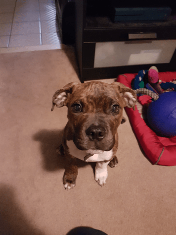 0ccggCx5v5AMHfgknF57mq5bfb63801bd