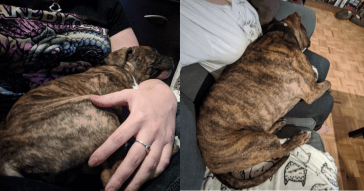 Adobe_Post_20200328_2025520.7356699583457895